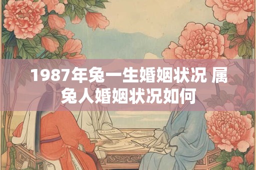 1987年兔一生婚姻状况 属兔人婚姻状况如何