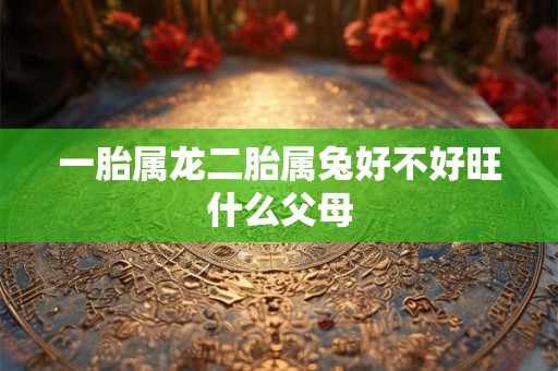 一胎属龙二胎属兔好不好旺什么父母