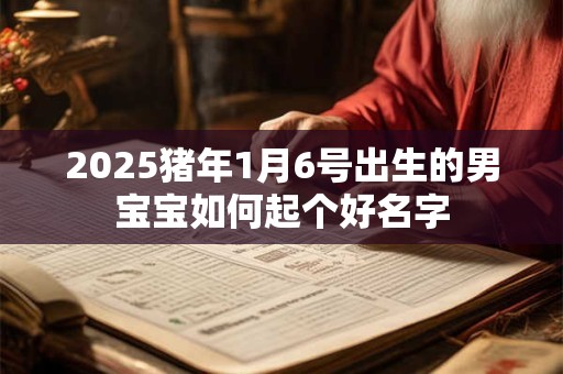 2025猪年1月6号出生的男宝宝如何起个好名字 2025猪年1月6号出生的男宝宝如何起个好名字