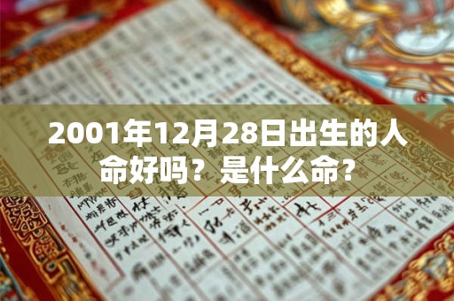 2001年12月28日出生的人命好吗？是什么命？