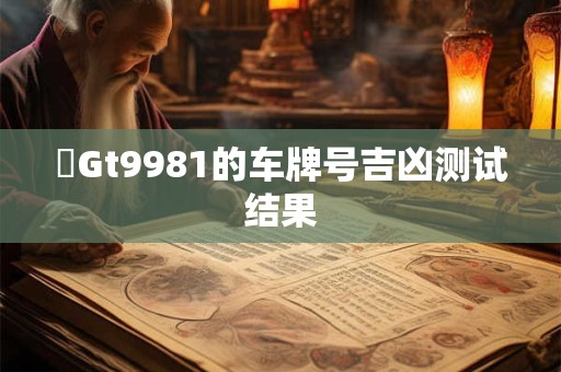 粵Gt9981的车牌号吉凶测试结果