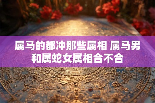 属马的都冲那些属相 属马男和属蛇女属相合不合