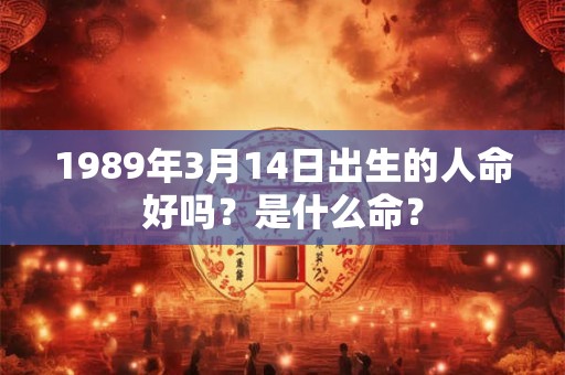 1989年3月14日出生的人命好吗？是什么命？