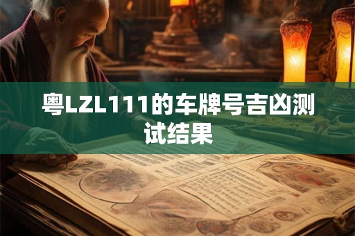 粤LZL111的车牌号吉凶测试结果