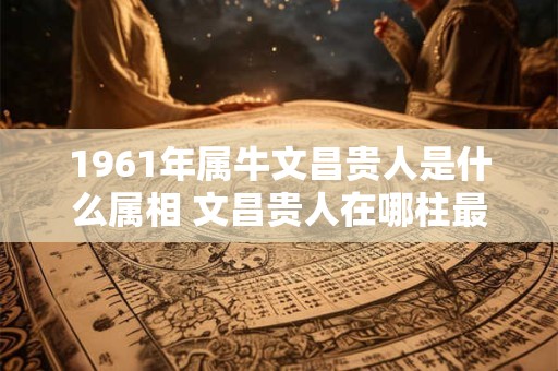 1961年属牛文昌贵人是什么属相 文昌贵人在哪柱最好