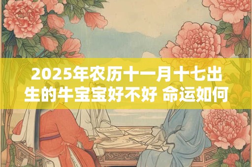 2025年农历十一月十七出生的牛宝宝好不好 命运如何