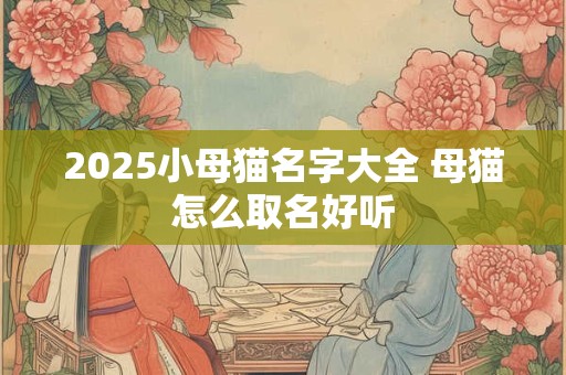 2025小母猫名字大全 母猫怎么取名好听