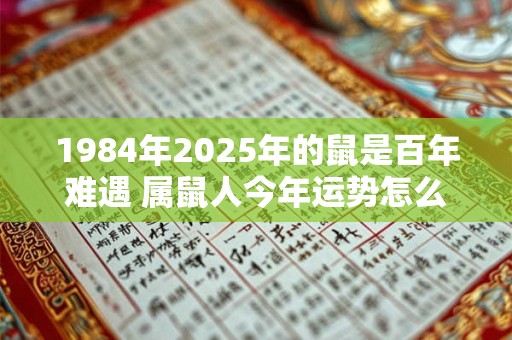 1984年2025年的鼠是百年难遇 属鼠人今年运势怎么样