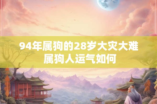 94年属狗的28岁大灾大难 属狗人运气如何
