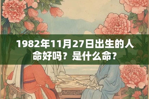 1982年11月27日出生的人命好吗？是什么命？
