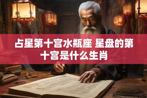 占星第十宫水瓶座 星盘的第十宫是什么生肖