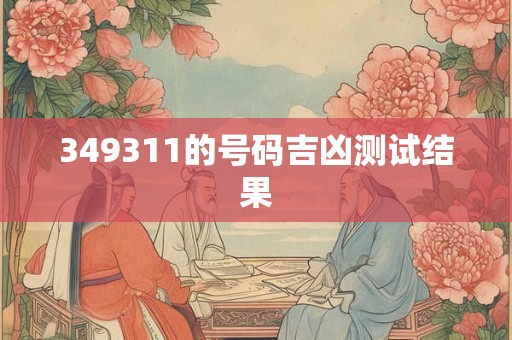 349311的号码吉凶测试结果