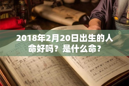 2018年2月20日出生的人命好吗？是什么命？