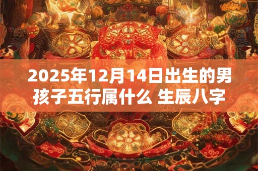2025年12月14日出生的男孩子五行属什么 生辰八字取名