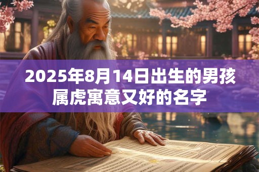 2025年8月14日出生的男孩属虎寓意又好的名字