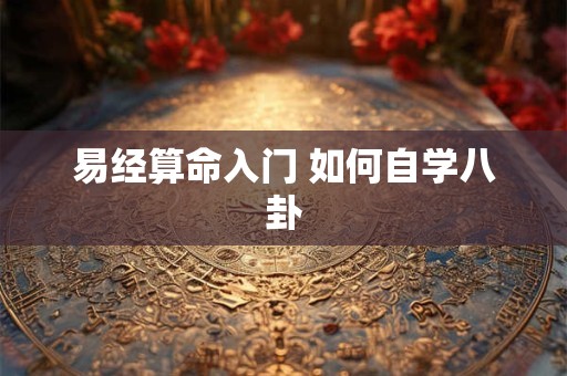 易经算命入门 如何自学八卦