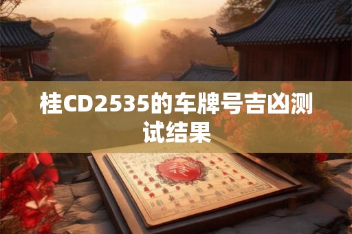 桂CD2535的车牌号吉凶测试结果
