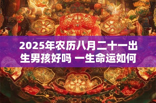 2025年农历八月二十一出生男孩好吗 一生命运如何