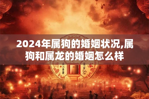 2024年属狗的婚姻状况,属狗和属龙的婚姻怎么样