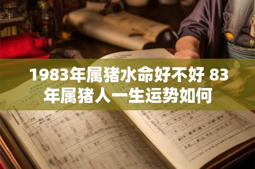 1983年属猪水命好不好 83年属猪人一生运势如何