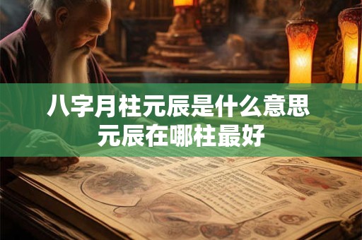 八字月柱元辰是什么意思 元辰在哪柱最好