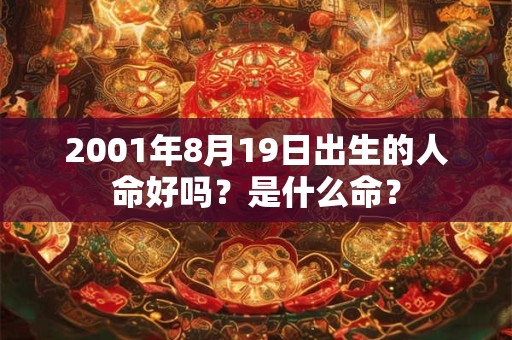 2001年8月19日出生的人命好吗？是什么命？