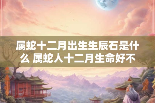 属蛇十二月出生生辰石是什么 属蛇人十二月生命好不好 属蛇十二月出生生辰石是什么 属蛇人十二月生命好不好