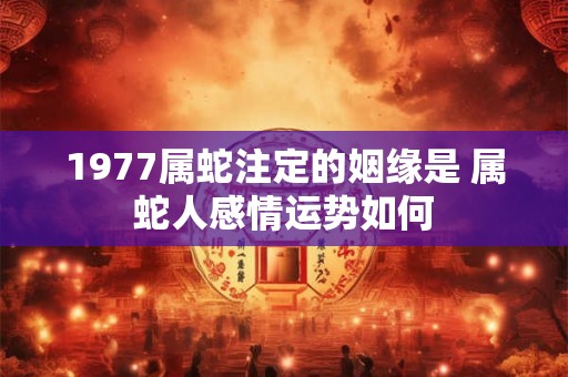 1977属蛇注定的姻缘是 属蛇人感情运势如何