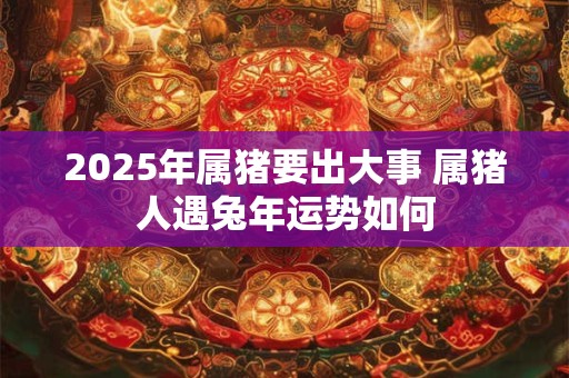 2026年属猪要出大事 属猪人遇兔年运势如何