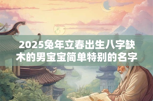 2025兔年立春出生八字缺木的男宝宝简单特别的名字大全