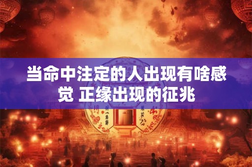 当命中注定的人出现有啥感觉 正缘出现的征兆