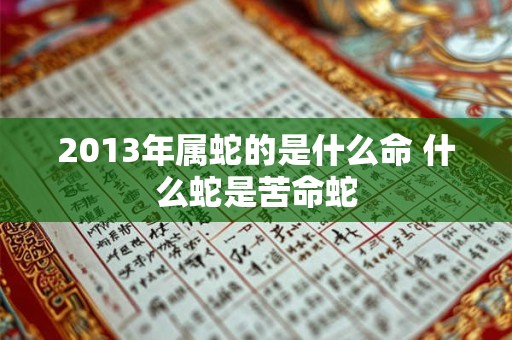 2013年属蛇的是什么命 什么蛇是苦命蛇