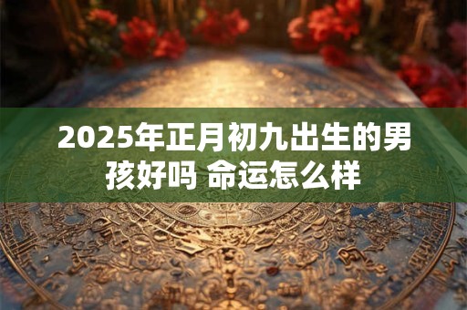 2025年正月初九出生的男孩好吗 命运怎么样