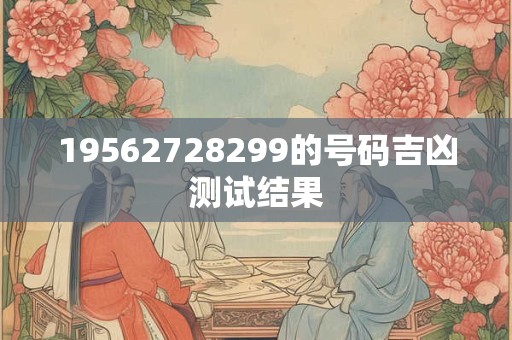 19562728299的号码吉凶测试结果