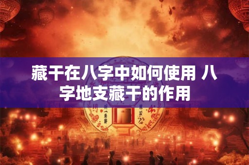 藏干在八字中如何使用 八字地支藏干的作用 藏干在八字中如何使用 八字地支藏干的作用