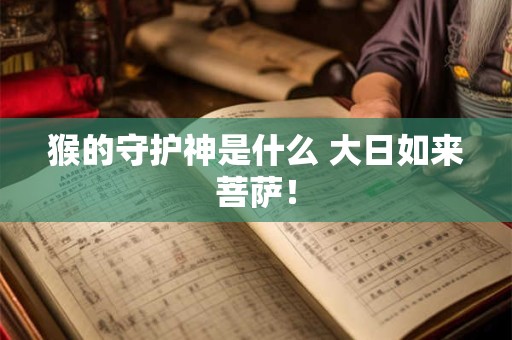 猴的守护神是什么 大日如来菩萨！