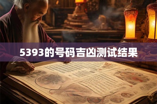 5393的号码吉凶测试结果