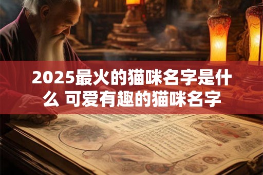 2026最火的猫咪名字是什么 可爱有趣的猫咪名字 2026最火的猫咪名字是什么 可爱有趣的猫咪名字