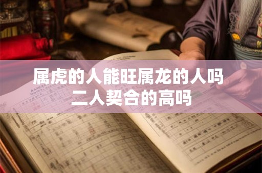 属虎的人能旺属龙的人吗 二人契合的高吗