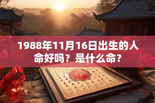 1988年11月16日出生的人命好吗？是什么命？