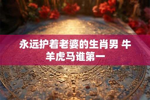永远护着老婆的生肖男 牛羊虎马谁第一