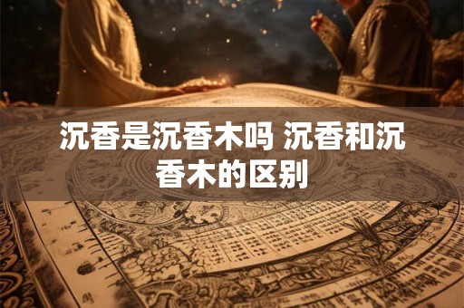 沉香是沉香木吗 沉香和沉香木的区别