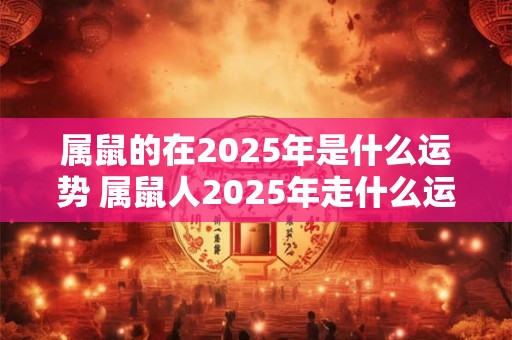 属鼠的在2025年是什么运势 属鼠人2025年走什么运