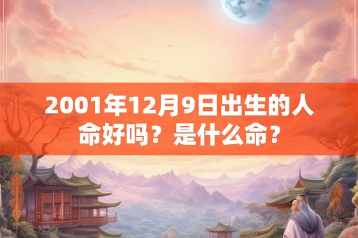 2001年12月9日出生的人命好吗？是什么命？