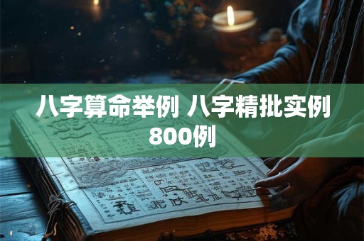 八字算命举例 八字精批实例800例