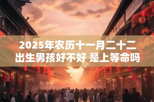 2025年农历十一月二十二出生男孩好不好 是上等命吗