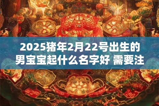 2025猪年2月22号出生的男宝宝起什么名字好 需要注意什么