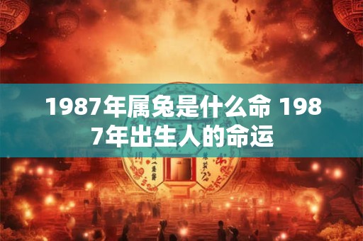 1987年属兔是什么命 1987年出生人的命运
