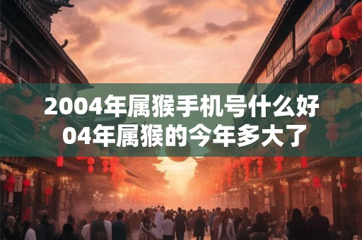 2004年属猴手机号什么好 04年属猴的今年多大了