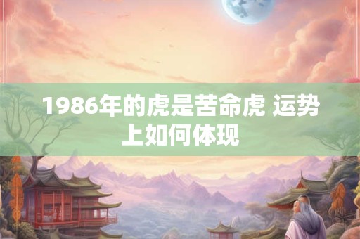 1986年的虎是苦命虎 运势上如何体现